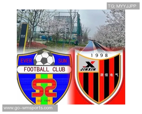 足球队旗的象征意义与文化内涵探讨