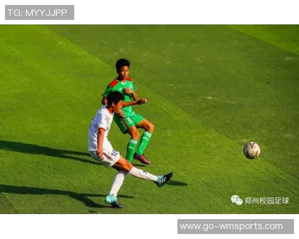 维维足球：探索青少年足球发展的新路径与未来愿景